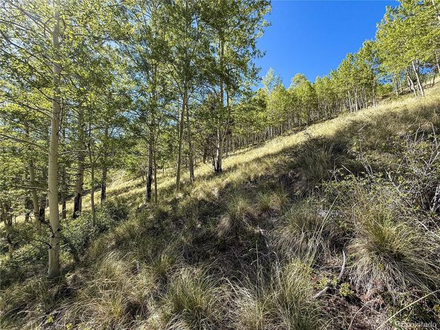 LOT 6829 Ryland Road, Fort Garland, CO 81133