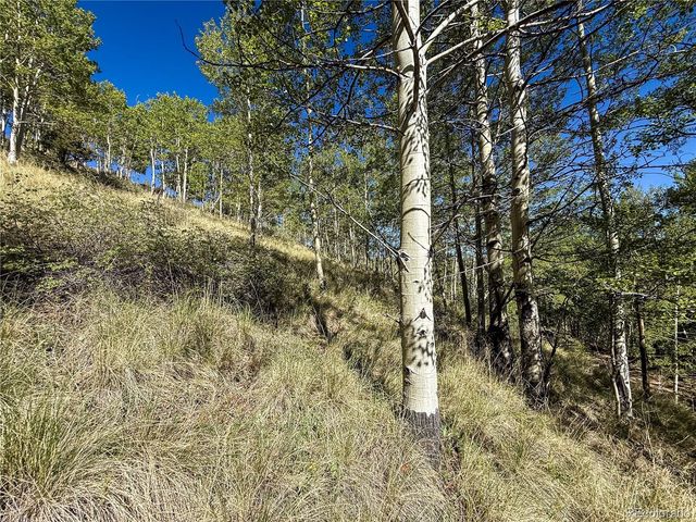LOT 6829 Ryland Road, Fort Garland, CO 81133