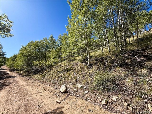 LOT 6829 Ryland Road, Fort Garland, CO 81133