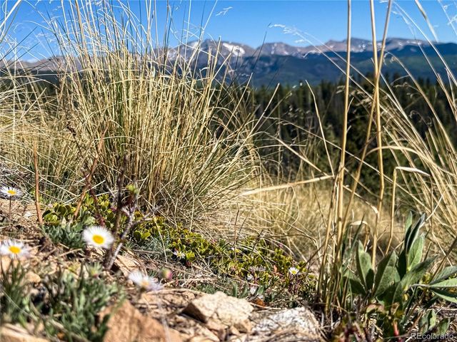 LOT 6829 Ryland Road, Fort Garland, CO 81133