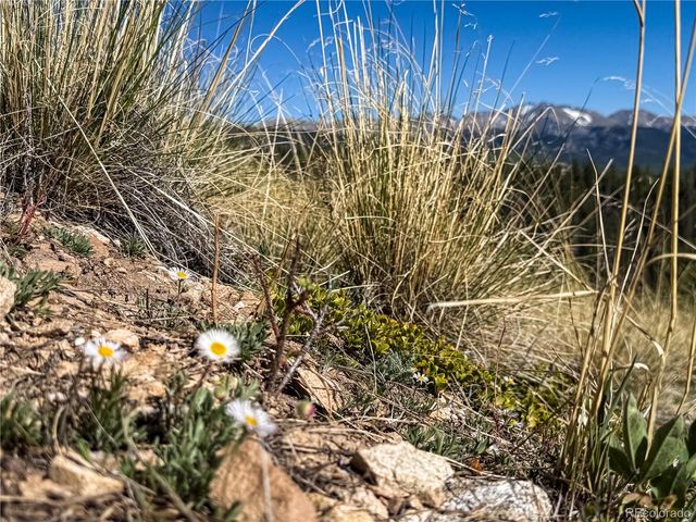 LOT 6829 Ryland Road, Fort Garland, CO 81133
