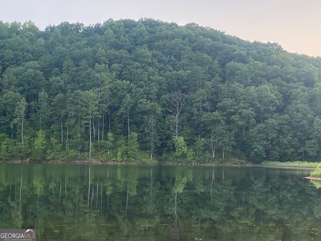 1322 Hunter Drive, Ranger, GA 30734