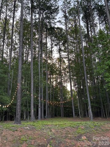607 Winter Walk Lane, Lake Wylie, SC 29710