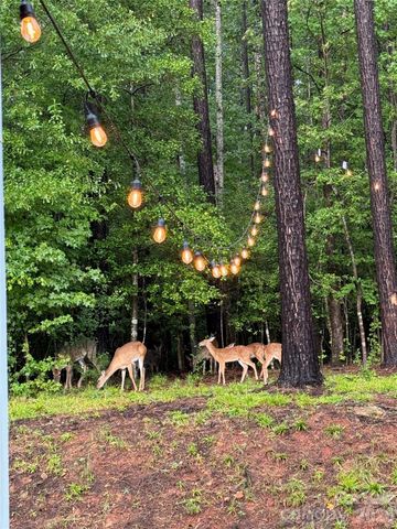 607 Winter Walk Lane, Lake Wylie, SC 29710