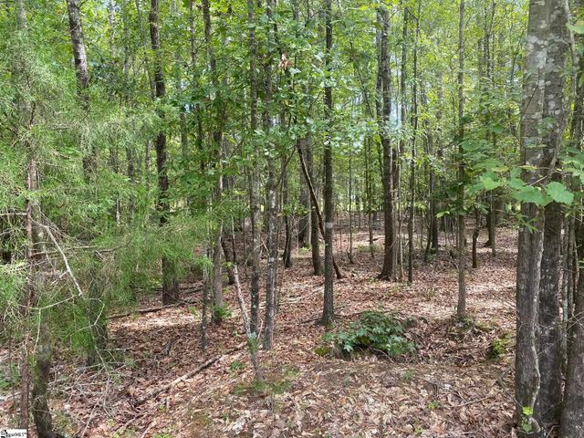 203 W Peninsula Drive, Laurens, SC 29360