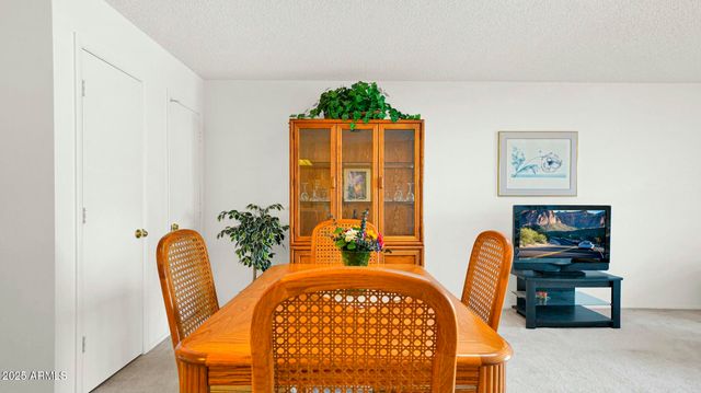 13506 W PROSPECT Drive, Sun City West, AZ 85375