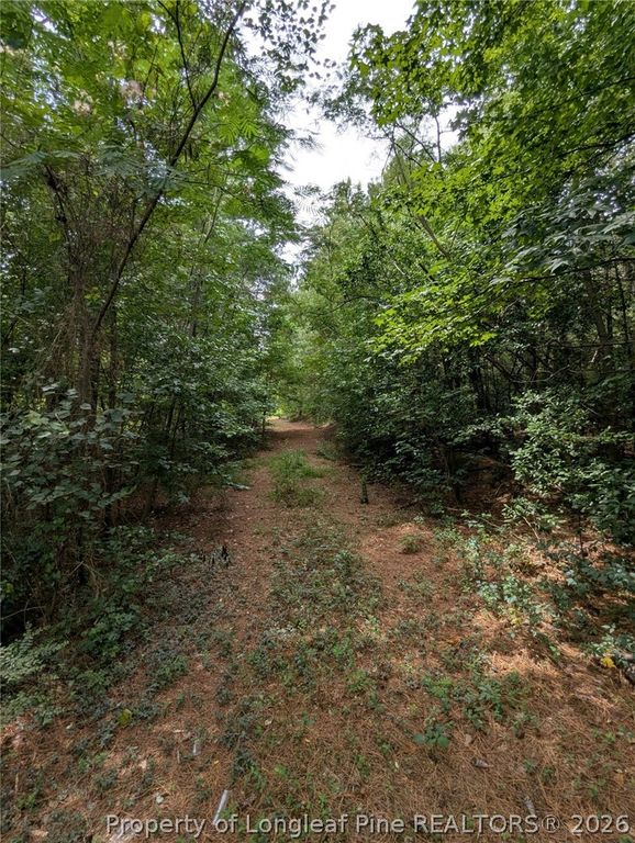 McNeill Lake Road, Lumber Bridge, NC 28357 — photo 3