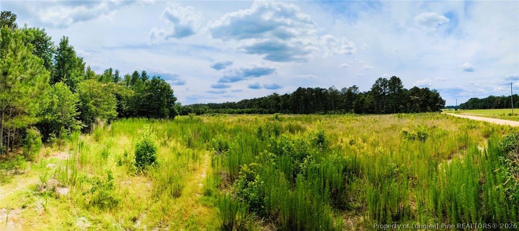 McNeill Lake Road, Lumber Bridge, NC 28357 — photo 4