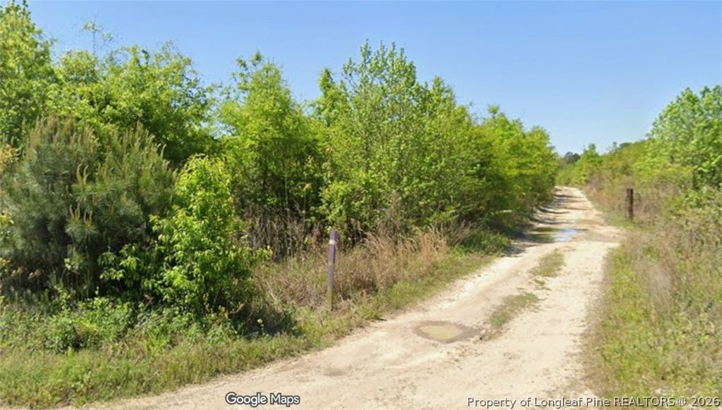McNeill Lake Road, Lumber Bridge, NC 28357 — photo 5