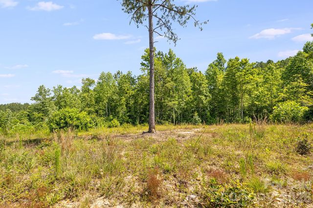 Lot #2 Clark Road, Rutherfordton, NC 28139