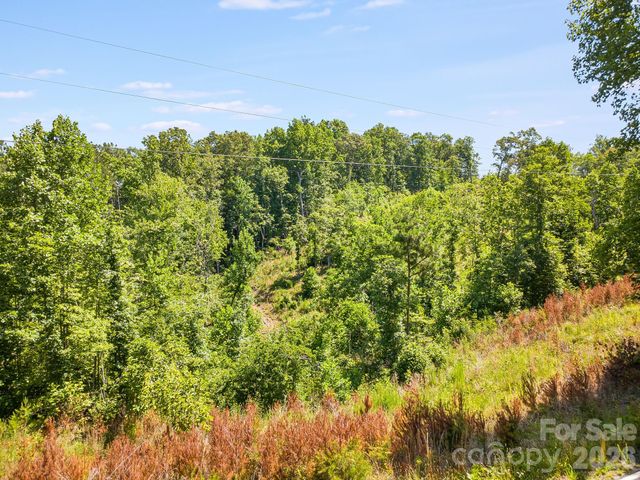 Lot #2 Clark Road, Rutherfordton, NC 28139