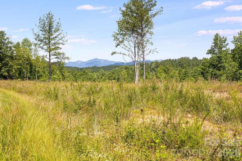 Lot #2 Clark Road, Rutherfordton, NC 28139