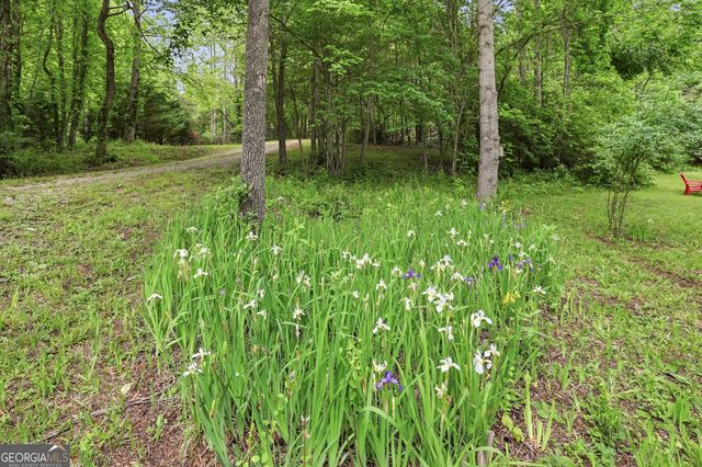 320 Sweetwater Drive, Clarkesville, GA 30523
