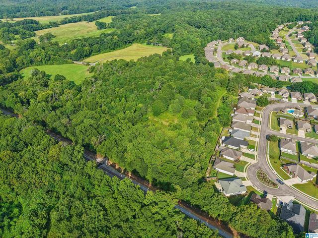 4950 US HIGHWAY 11, Springville, AL 35146