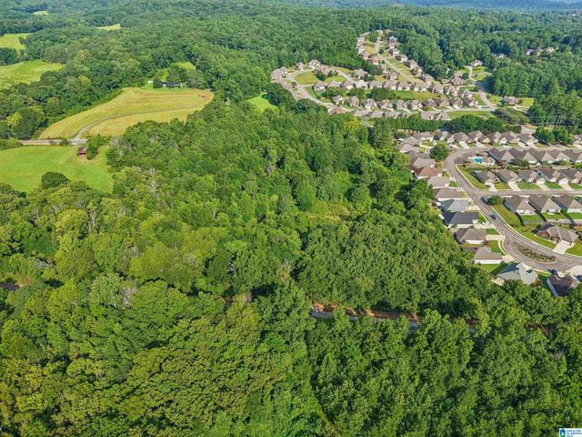 4950 US HIGHWAY 11, Springville, AL 35146