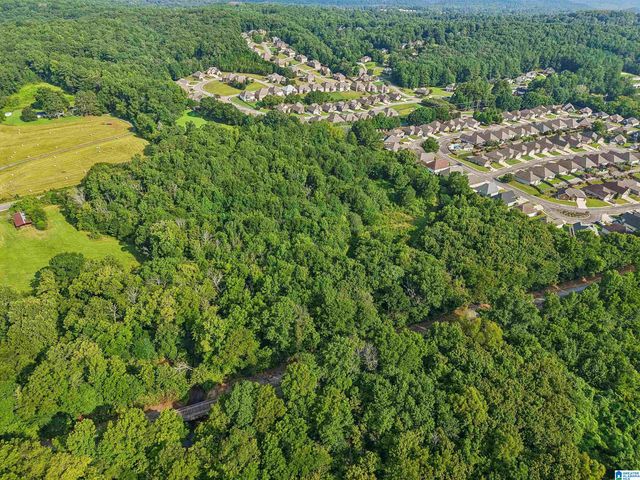 4950 US HIGHWAY 11, Springville, AL 35146