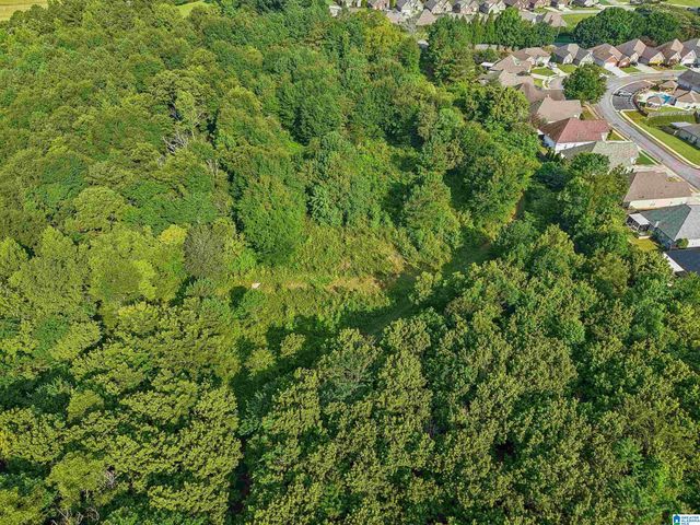 4950 US HIGHWAY 11, Springville, AL 35146