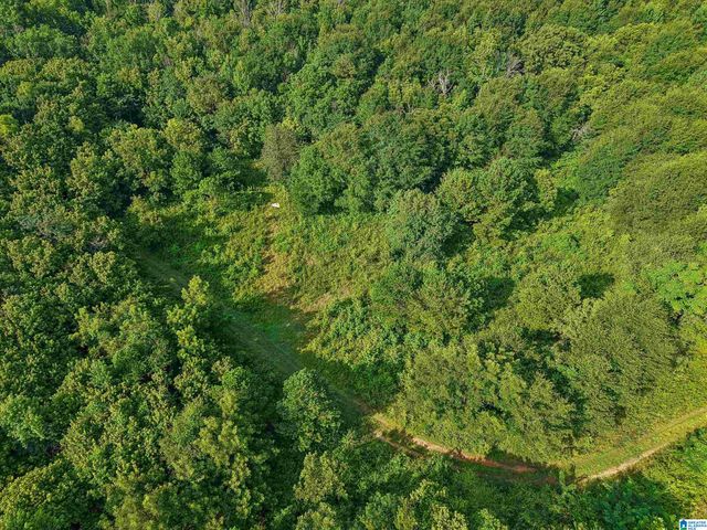4950 US HIGHWAY 11, Springville, AL 35146
