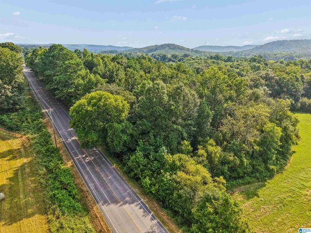 4950 US HIGHWAY 11, Springville, AL 35146