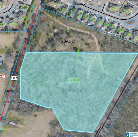 4950 US HIGHWAY 11, Springville, AL 35146