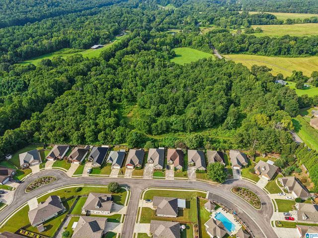 4950 US HIGHWAY 11, Springville, AL 35146