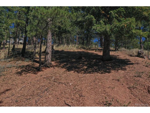 181 Valley Ln, Woodland Park, CO 80863