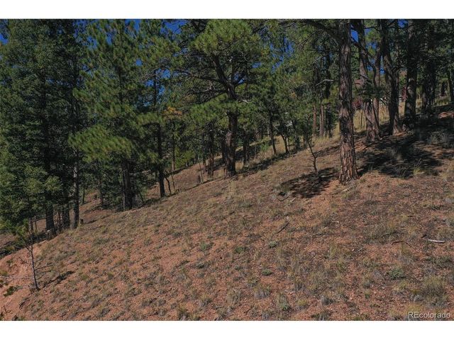 181 Valley Ln, Woodland Park, CO 80863