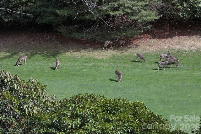 222 Sedi Lane, Brevard, NC 28712