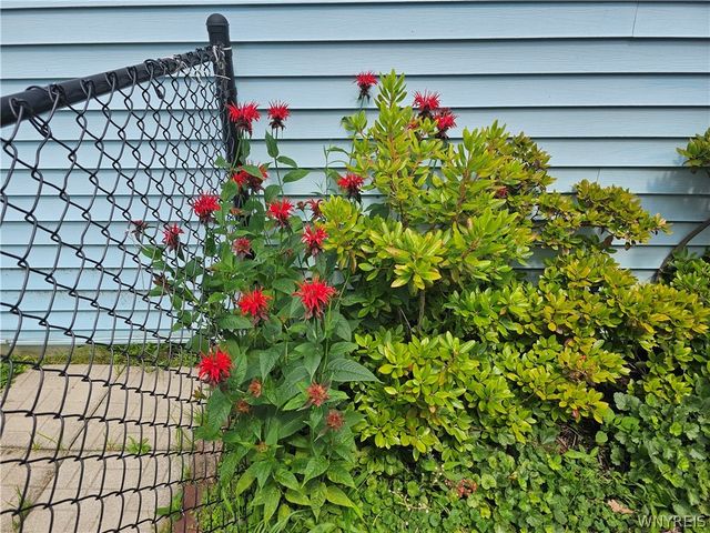11 Oakhurst Avenue, Buffalo, NY 14220
