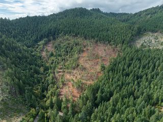 1132 Bridge Lane, Wolf Creek, OR 97497