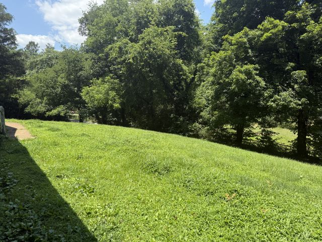 175 Angus Watts Rd, Pulaski, TN 38478