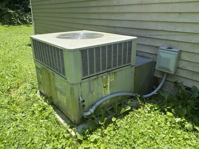 175 Angus Watts Rd, Pulaski, TN 38478