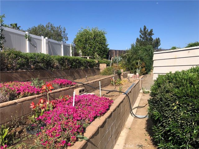 26032 Seaforthia Palm Drive, Homeland, CA 92548