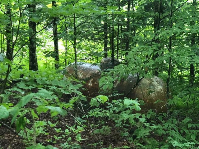 600 Bog Road, Belvidere, VT 05442