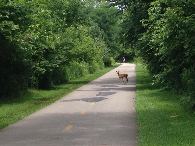 387 W 2nd Avenue, Columbus, OH 43201