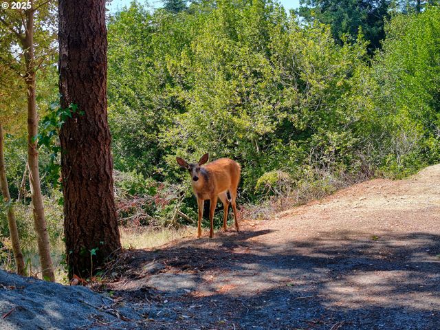 17244 MOUNTAIN Dr, Brookings, OR 97415