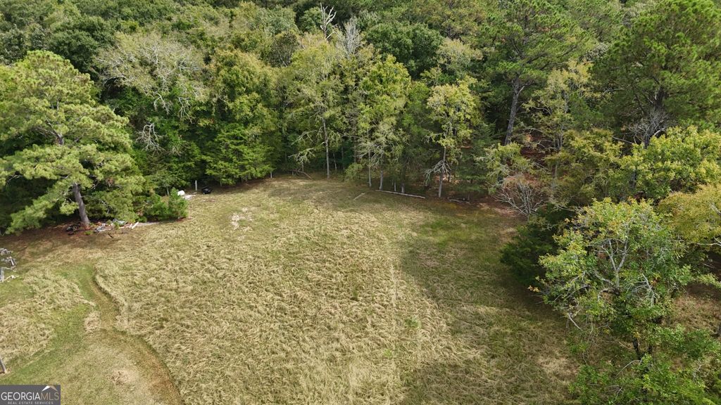 0 Bobby Brown St Pk Road, Dewy Rose, GA 30635 — exterior