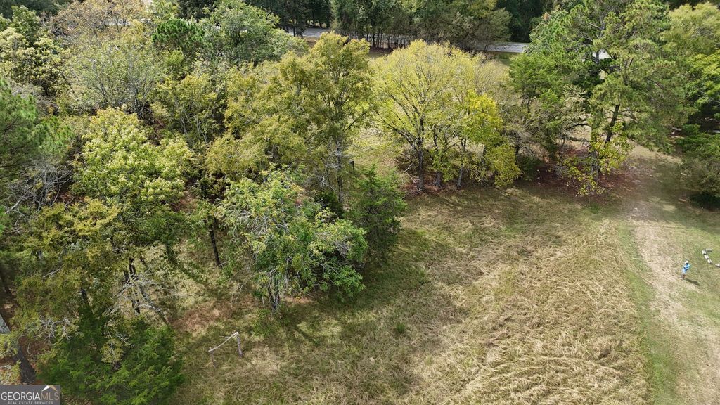 0 Bobby Brown St Pk Road, Dewy Rose, GA 30635 — photo 3