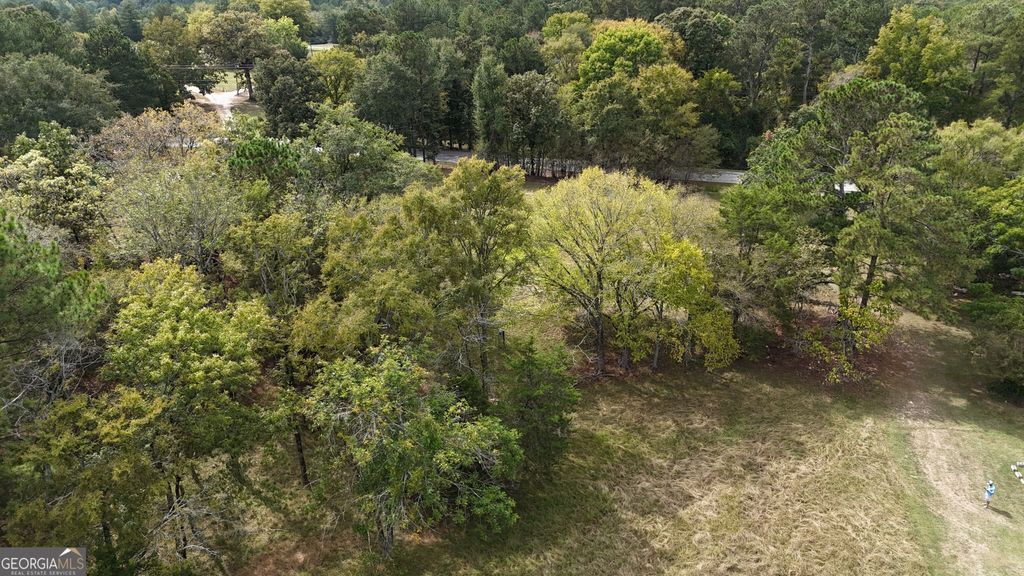 0 Bobby Brown St Pk Road, Dewy Rose, GA 30635 — photo 4