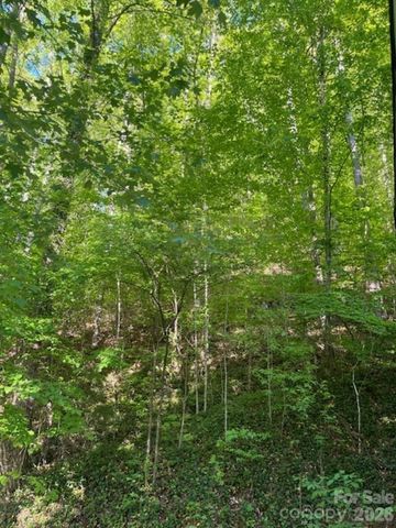 50 E Wabash Drive, Sylva, NC 28779