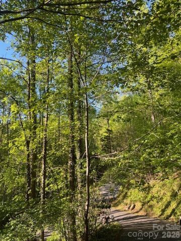 50 E Wabash Drive, Sylva, NC 28779
