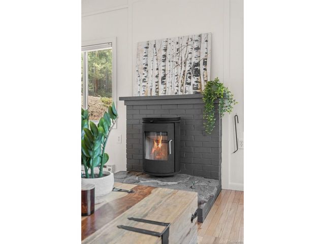 34096 Columbine Cir, Evergreen, CO 80439