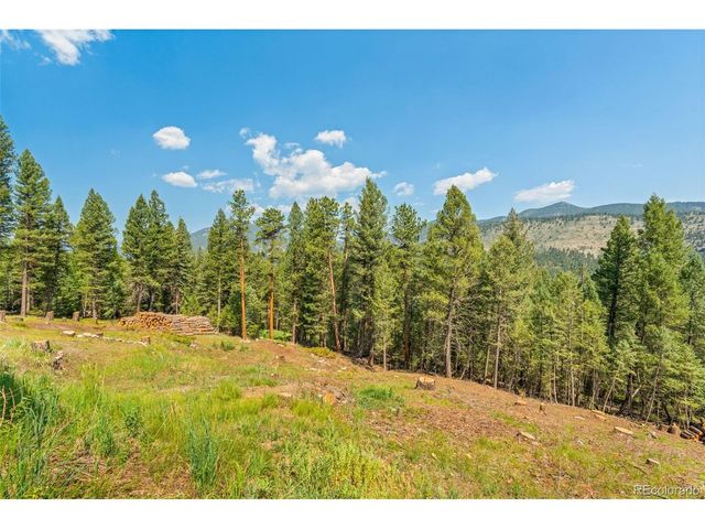 34096 Columbine Cir, Evergreen, CO 80439
