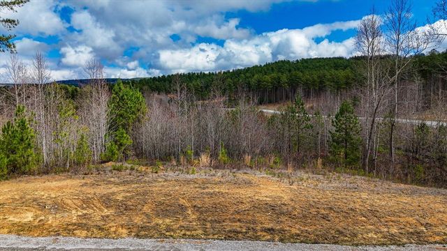 0 Birds Eye Way , Lot 1065, Guild, TN 37340