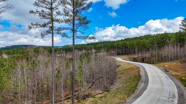 0 Birds Eye Way , Lot 1065, Guild, TN 37340