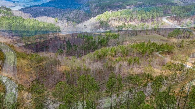 0 Birds Eye Way , Lot 1065, Guild, TN 37340