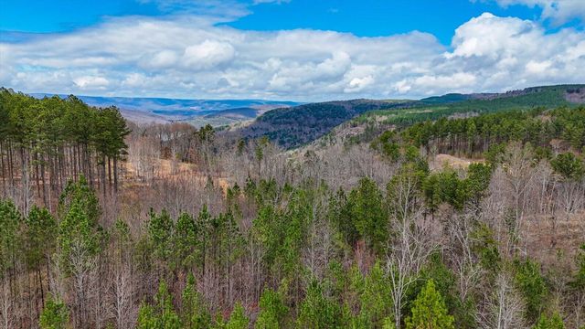 0 Birds Eye Way , Lot 1065, Guild, TN 37340