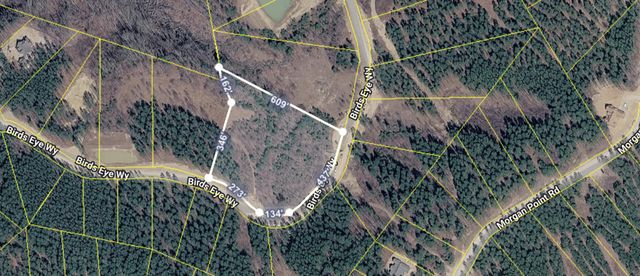 0 Birds Eye Way , Lot 1065, Guild, TN 37340