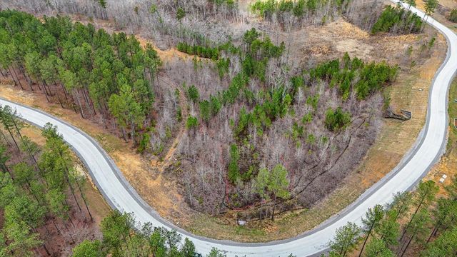 0 Birds Eye Way , Lot 1065, Guild, TN 37340
