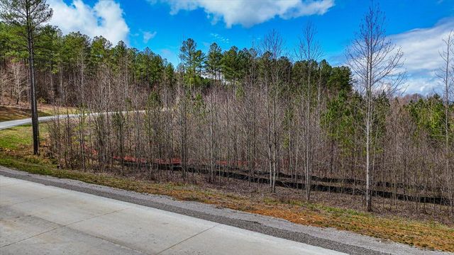 0 Birds Eye Way , Lot 1065, Guild, TN 37340